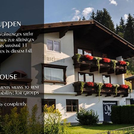 Ferienhaus Auschmiede Hollersbach im Pinzgau Exterior photo